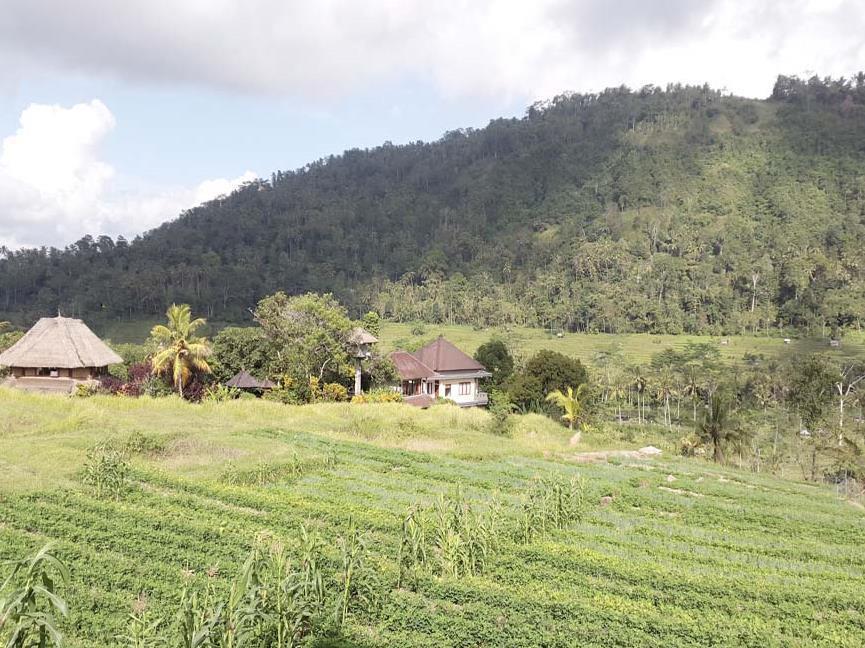 Embang Homestay Sidemen  Ngoại thất bức ảnh