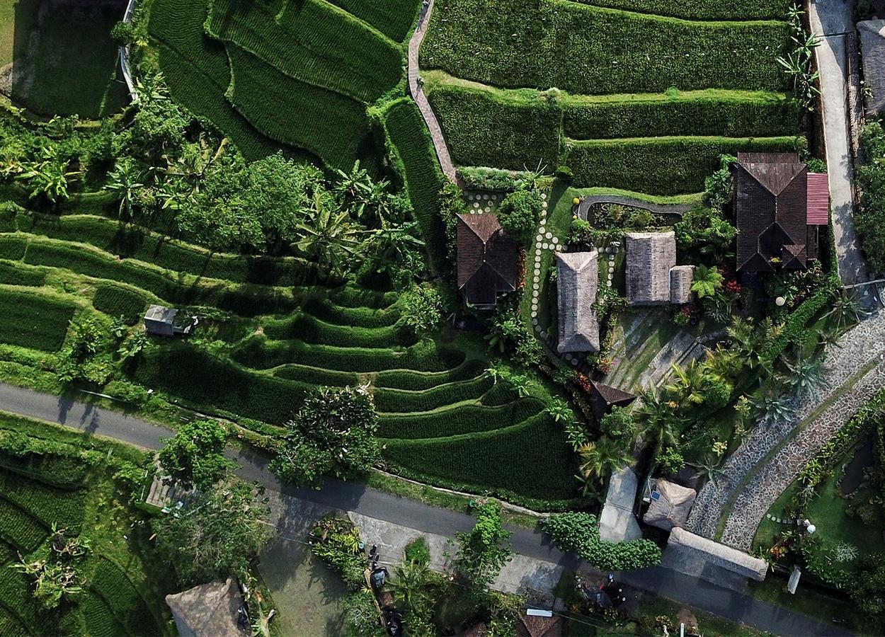 Embang Homestay Sidemen  Ngoại thất bức ảnh