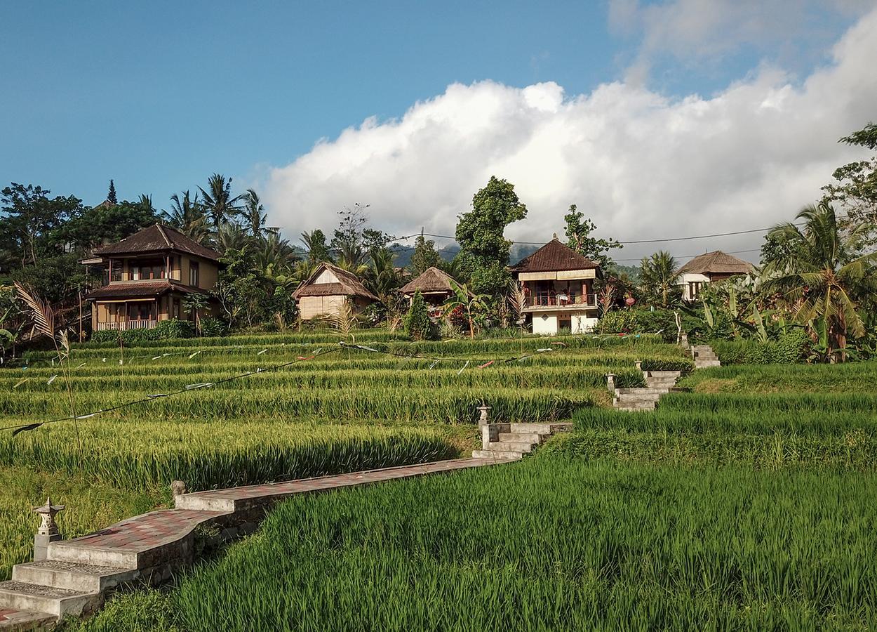 Embang Homestay Sidemen  Ngoại thất bức ảnh