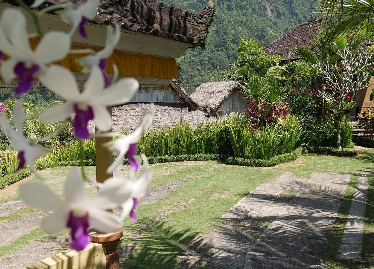 Embang Homestay Sidemen  Ngoại thất bức ảnh