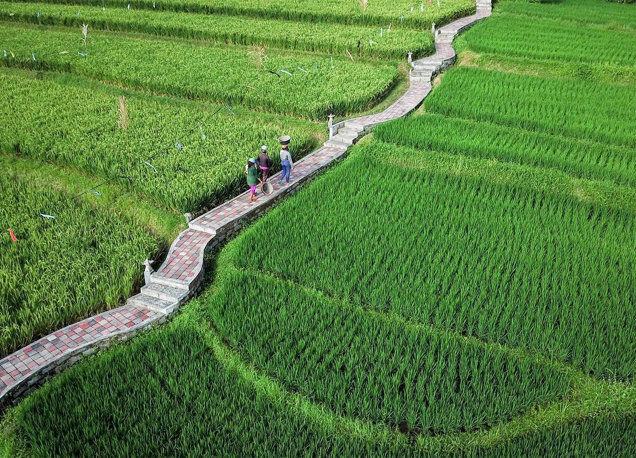 Embang Homestay Sidemen  Ngoại thất bức ảnh