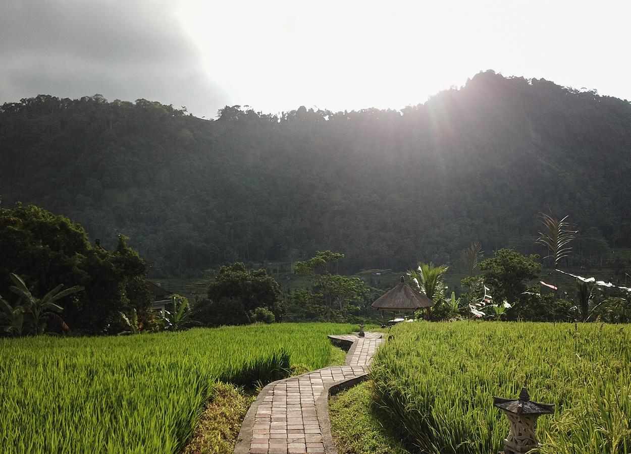 Embang Homestay Sidemen  Ngoại thất bức ảnh
